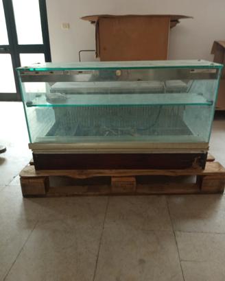 vetrina frigo 