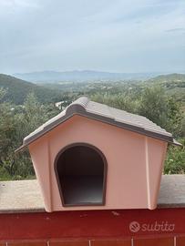 cuccia per cani