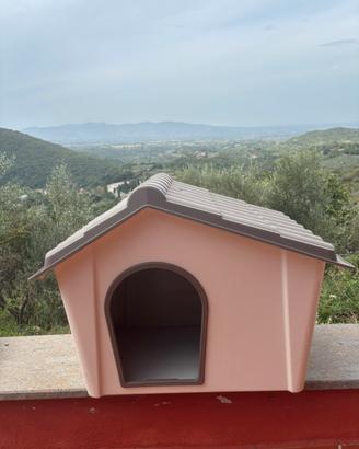 cuccia per cani