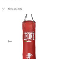 Sacco Leone professionale 