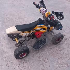Mini quad