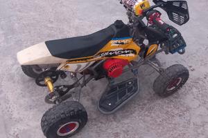 Mini quad