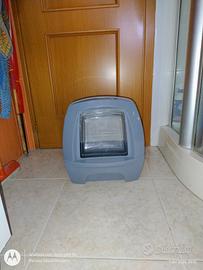 Lettiera per gatti