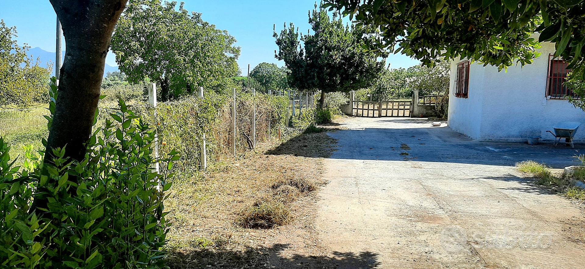 Masseria con terreno a Caianello - Vista 3