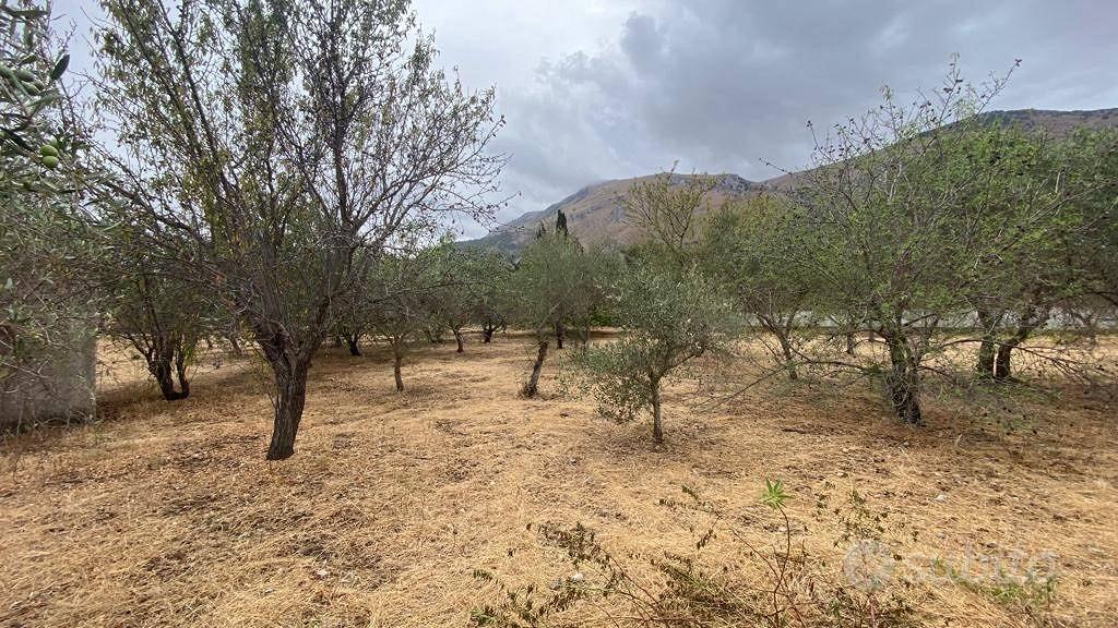 Terreno di 6500 m² a Carini - Vista 4
