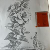Romano Gazzera