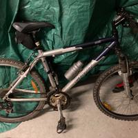 Bici giant