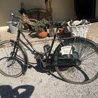 Bicicletta Stella Veneta