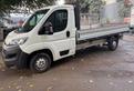 Citroen Jumper 35 BlueHDi 160 PLM-SL Cassonato
