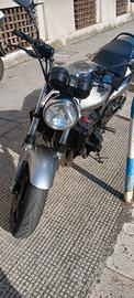 hornet 900