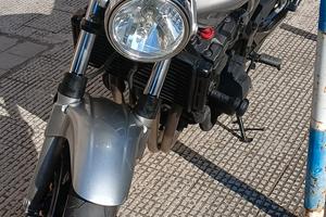 hornet 900