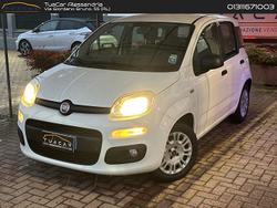 Fiat Panda Easy 1.2 #8913