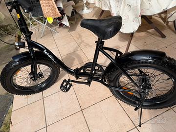 Bicicletta FAT