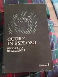Riccardo Romagnoli  romanzo