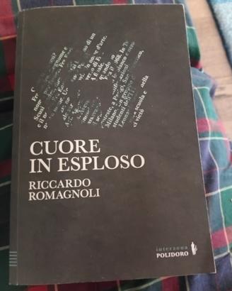 Riccardo Romagnoli  romanzo