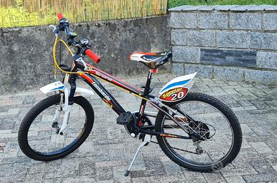 bicicletta 20 pollici 