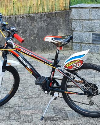 bicicletta 20 pollici 