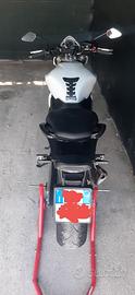 honda hornet 600
