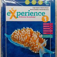 Experience vol. 1