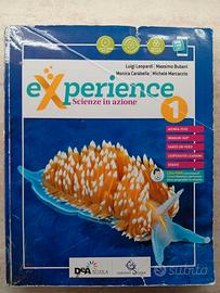 Experience vol. 1