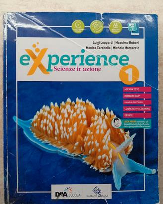 Experience vol. 1