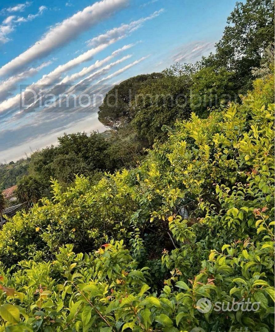 Terreno edificabile con rudere a Macchia di Giarre - Vista 2