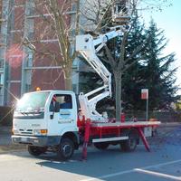 Autocarrata Cestello su Nissan Cabstar Unipro