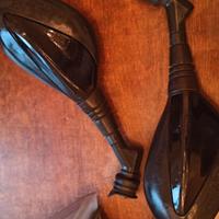 coppia specchietti downtown300i