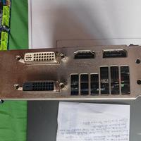 Scheda video PCI Ex