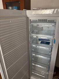 Congelatore verticale Indesit a colonna bianco