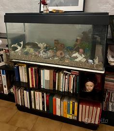 Acquario con mobile libreria