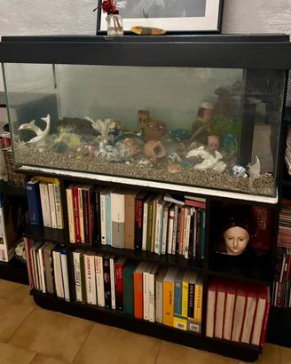 Acquario con mobile libreria