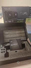 Asus dual Rtx 4060 oc, leggere descrizione!!!!