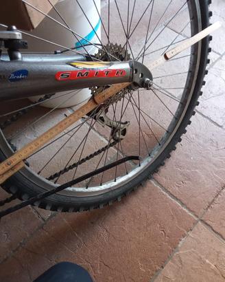 Bicicletta