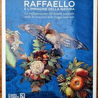 Raffaello e l'immagine della natura - come nuovo