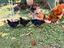 Immagine 1