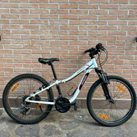 Bicicletta specialized