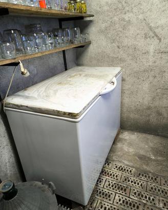 Cella frigorifera Liebherr 300 litri