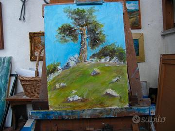 Quadro olio 30X40 Pino Loricato