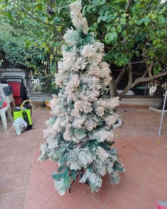 Natale