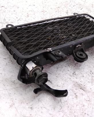KAWASAKI ZZR E7 E9 600 RADIATORE OLIO 1999 2000 ZX