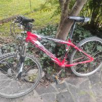 Bicicletta mountain-bike uomo