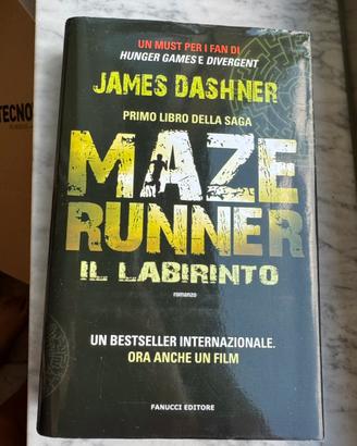 Maze runner: il labirinto