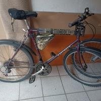 bicicletta uomo