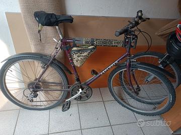 bicicletta uomo