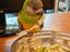 Immagine 6