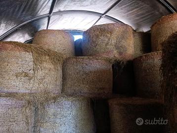 Balloni fieno maggengo