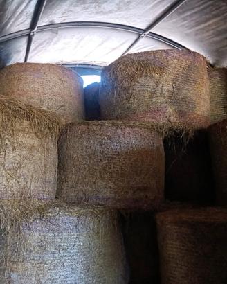 Balloni fieno maggengo