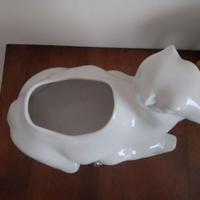 Cammelli e dromedari varie dimensioni, colori