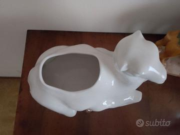 Cammelli e dromedari varie dimensioni, colori